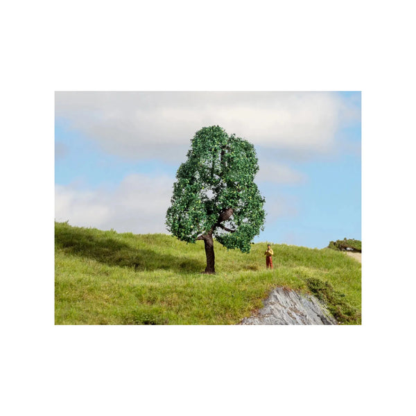 image1_HO Oak