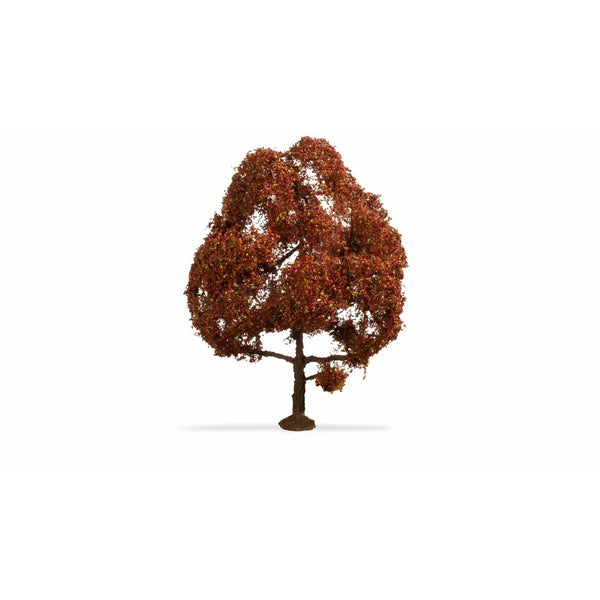 image1_HO Copper Beech