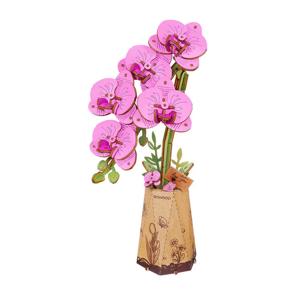 Wood Bloom Purple Moth Orchid